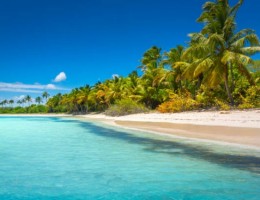 Punta Cana Family Plan 